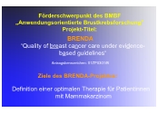 Frderschwerpunkt des BMBF 'Anwendungsorientierte Brustkrebsforschung'