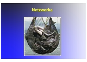 Netzwerke