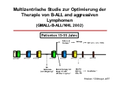 Multizentrische Studie zur Optimierung der Therapie von B-ALL and aggressiven Lymphomen (GMALL-B-ALL/NHL 2002)