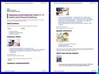 NHS - Das englische System