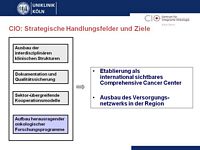 CIO: Strategische Handlungsfelder und Ziele