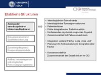 Etablierte Strukturen (1. Punkt)