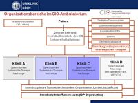 Organisationsbereiche im CIO-Ambulatorium