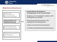 Etablierte Strukturen (2. Punkt)