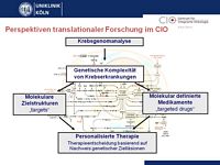 Perspektiven translationaler Forschung im CIO