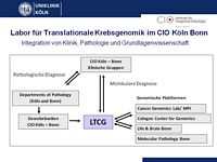 Labor fr Translationale Krebsgenomik im CIO Kln Bonn