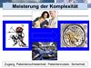 Meisterung der Komplexitt