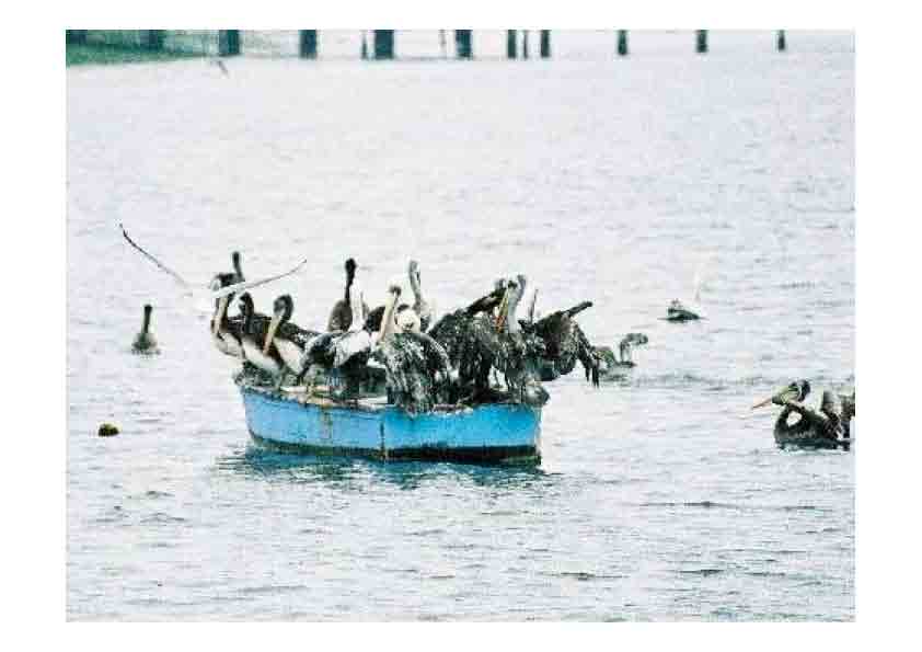 Wir sind alle in einem Boot